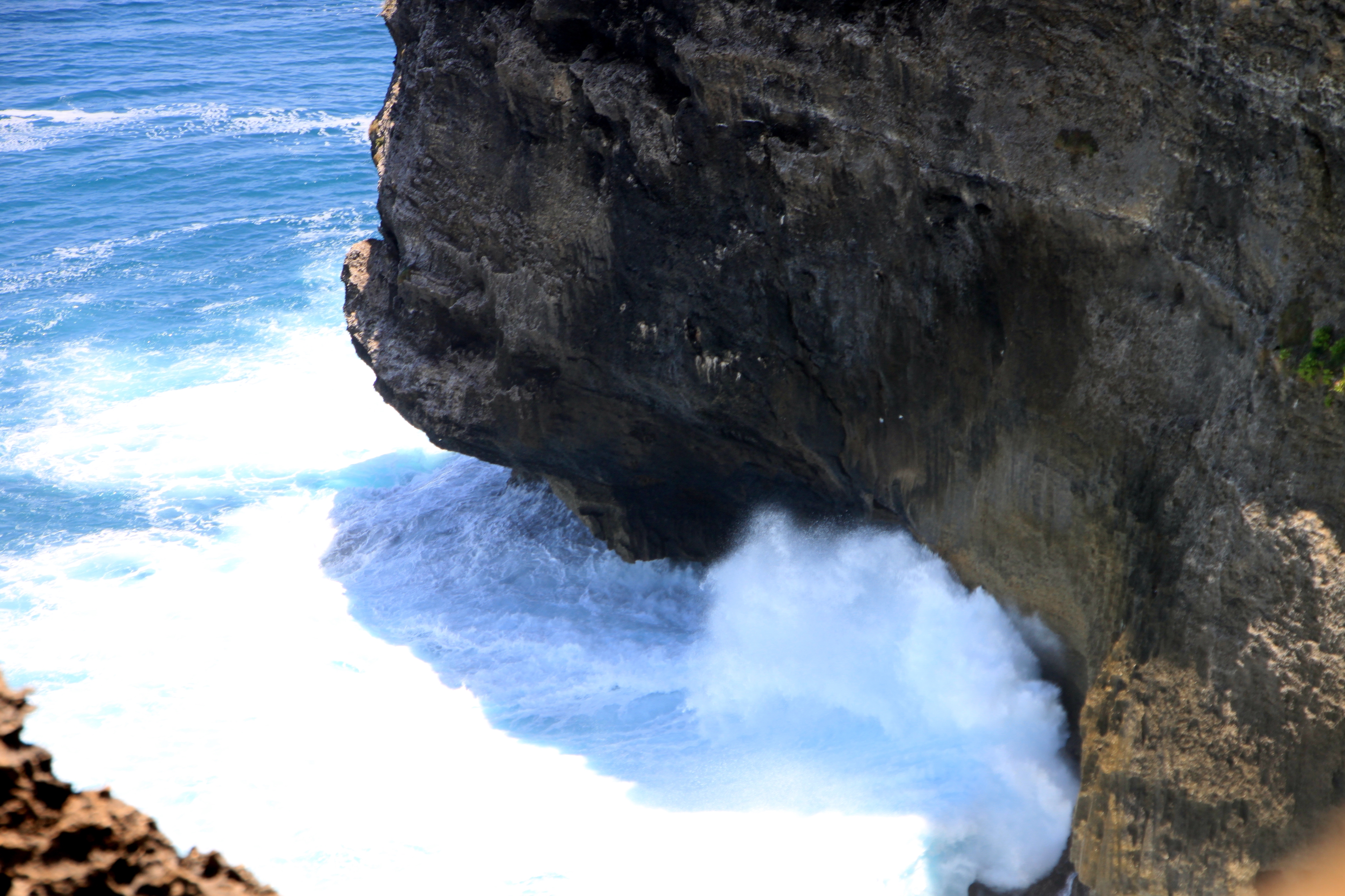 2010-03-20-03399.JPG