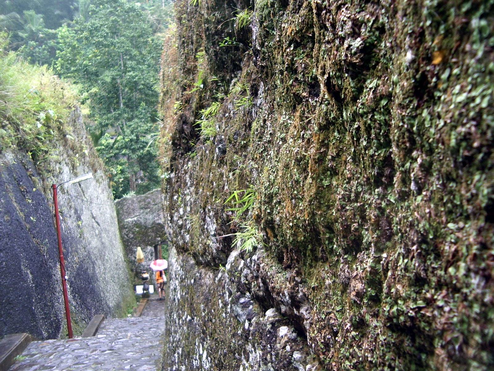 2007-07-01 094.JPG