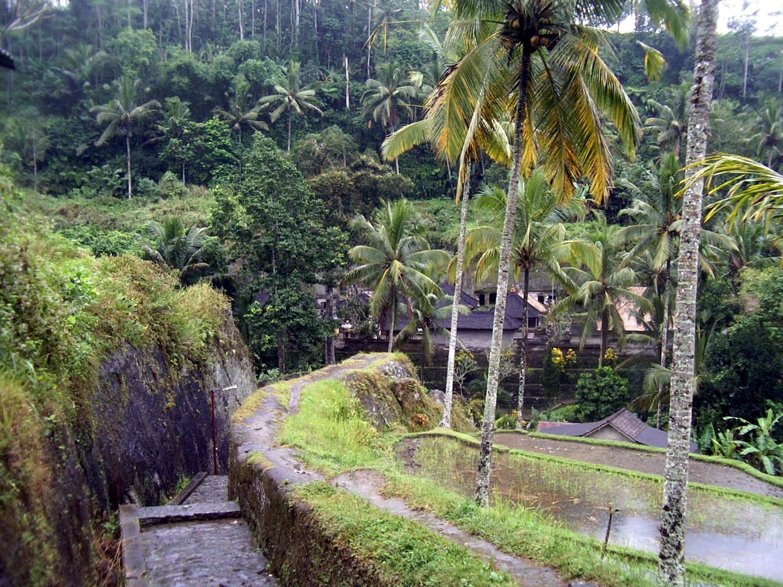 2007-07-01 091.JPG