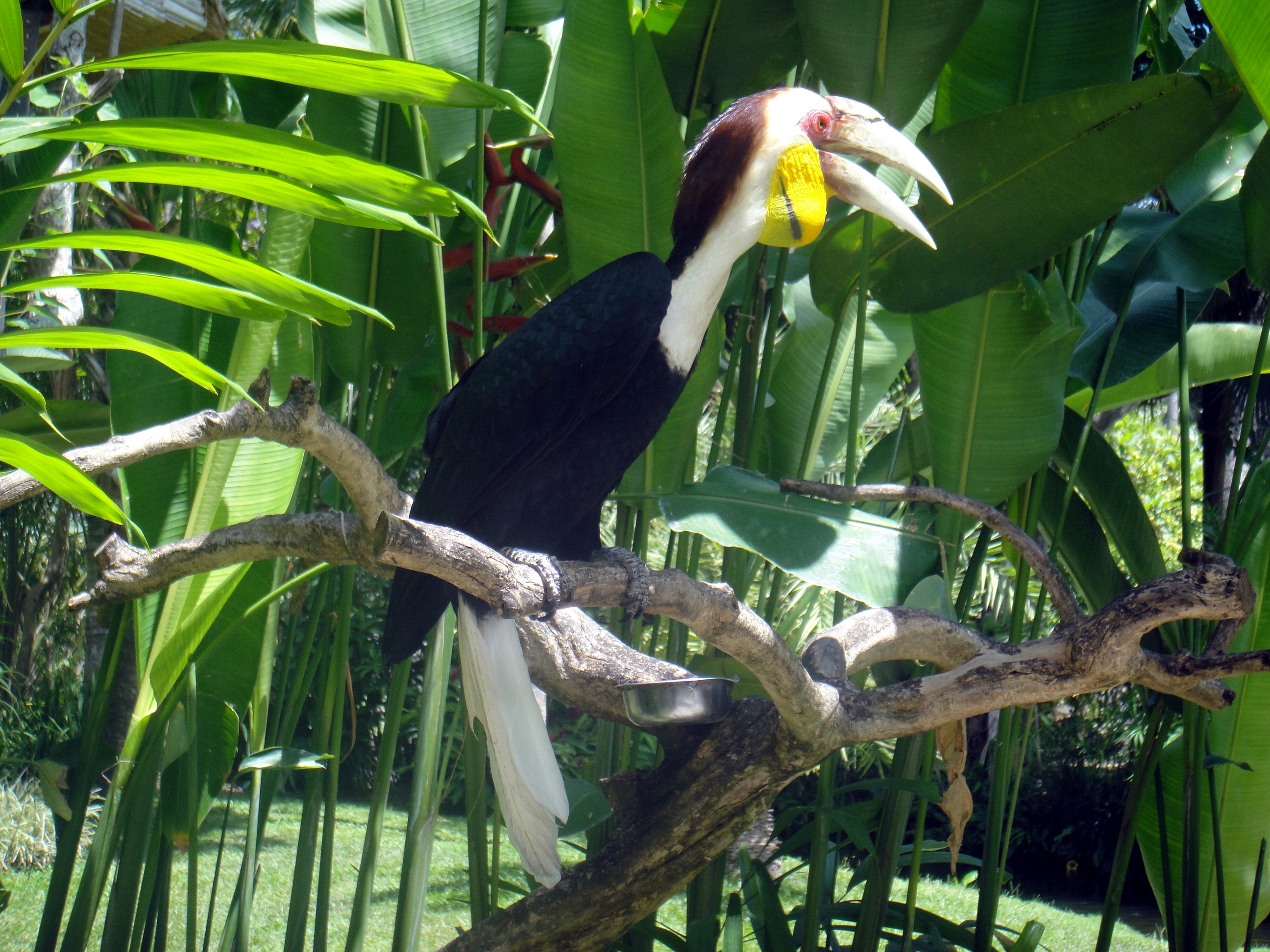 2010-03-19 097.JPG
