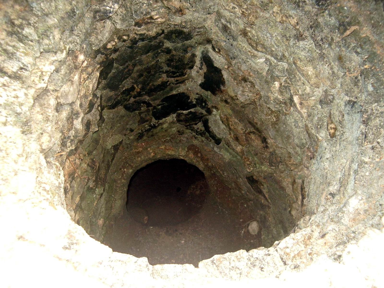 IMGP0092.JPG