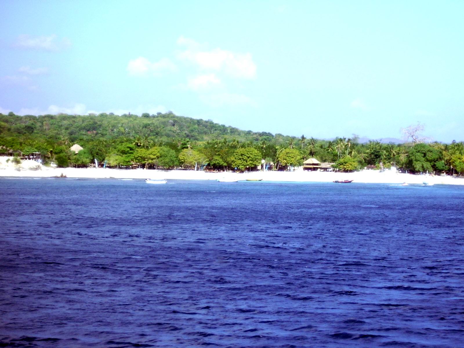 IMGP0113.JPG