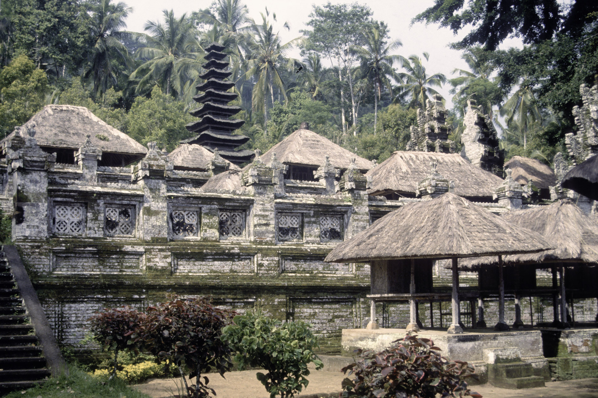 05.jpg