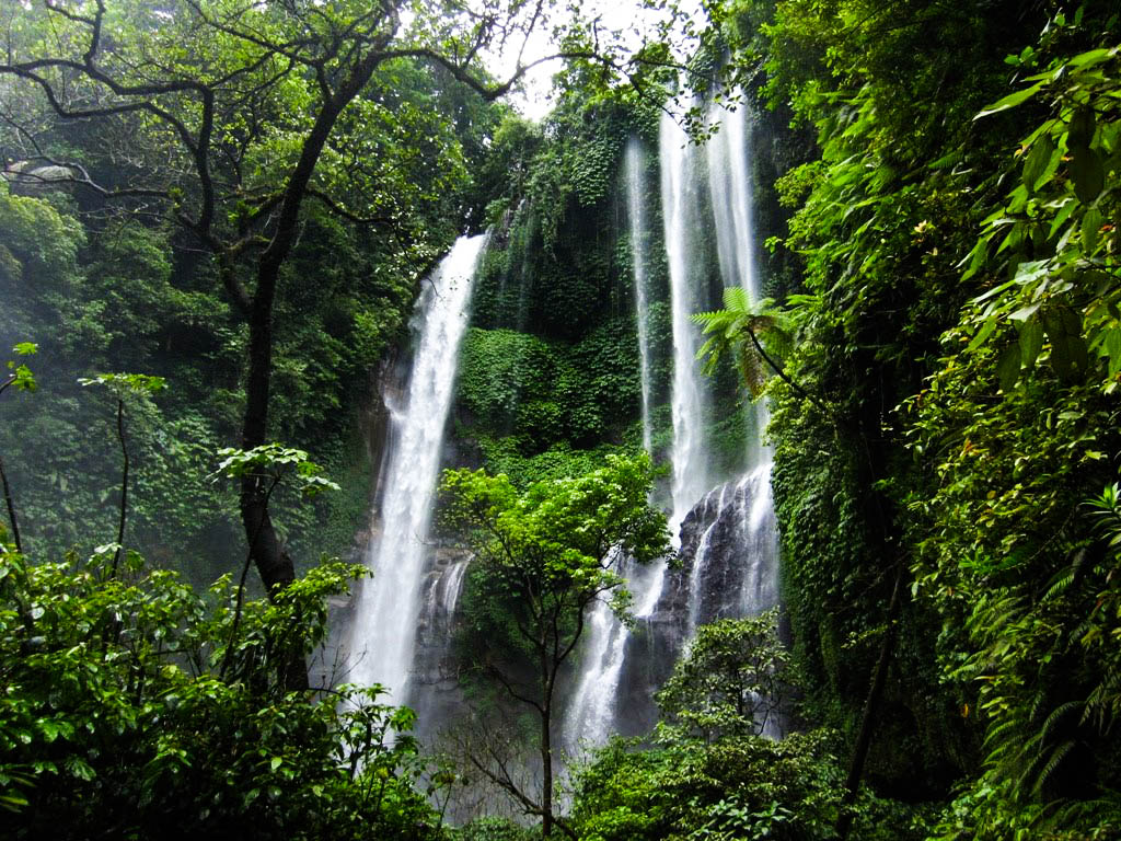 Air Terjun Sekumpul.JPG